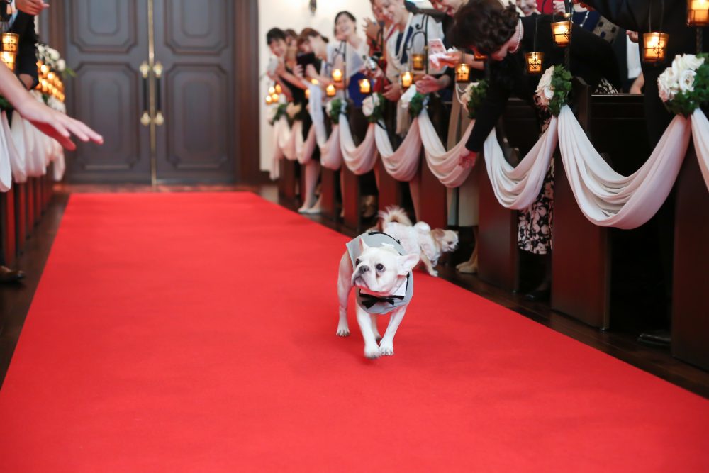 おすすめ結婚式場のあこがれ演出